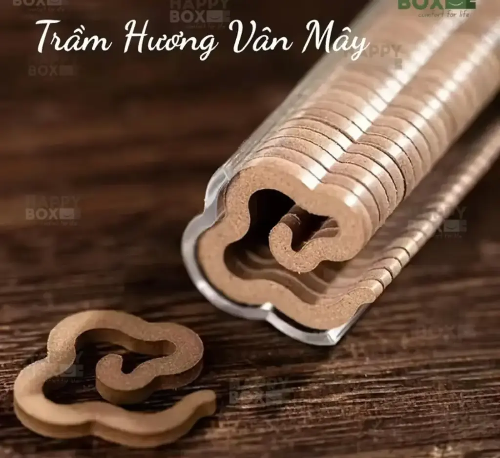 NỤ TRẦM VÂN MÂY