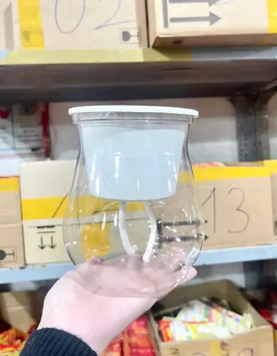 [P0308] BÌNH THUỶ SINH DÁNG BẦU